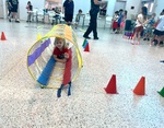 IMG_0811.jpeg