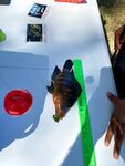 Kiwanis_Family_Fishing_April_2025_pic11.jpg