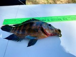 Kiwanis_Family_Fishing_April_2025_pic10.jpg