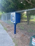 IMG_3750.jpeg