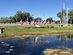 IMG_6939.JPG
